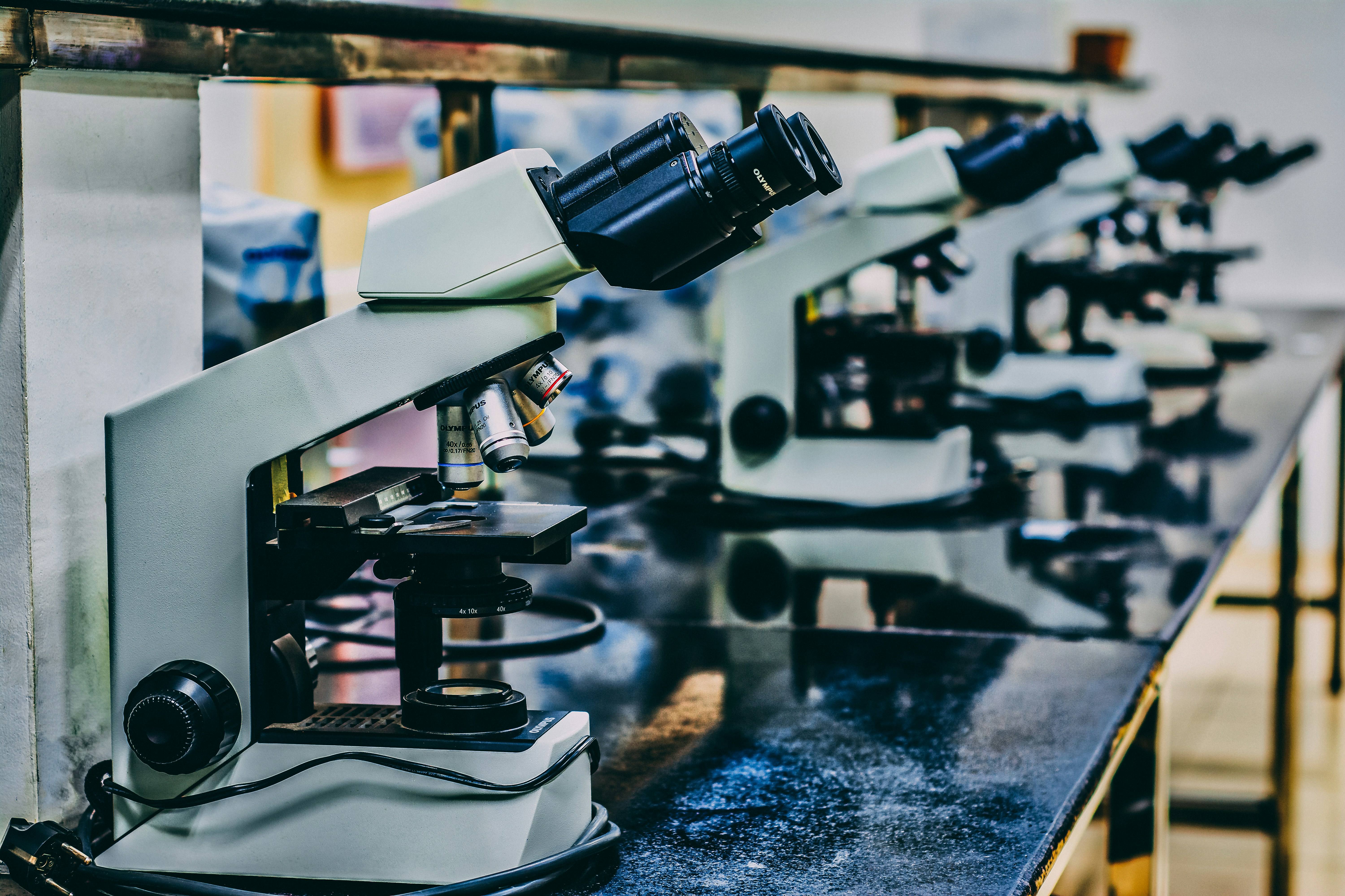 Row of microscopes in a laboratory